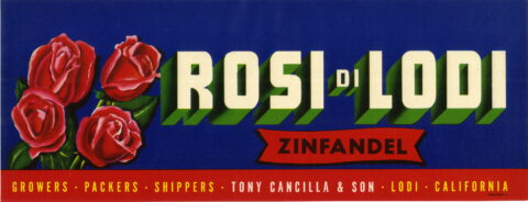 Rosi Di Lodi